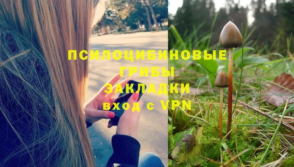 мескалин Балахна