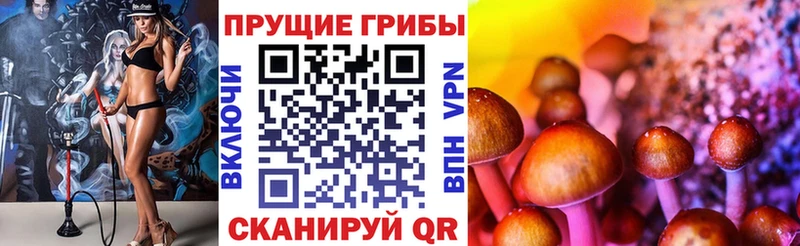 Галлюциногенные грибы Magic Shrooms  Ялта 